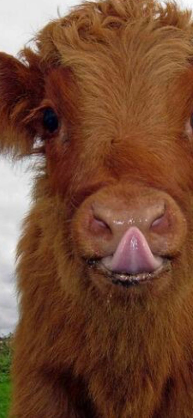 Body Butter β¨π₯π₯β¨